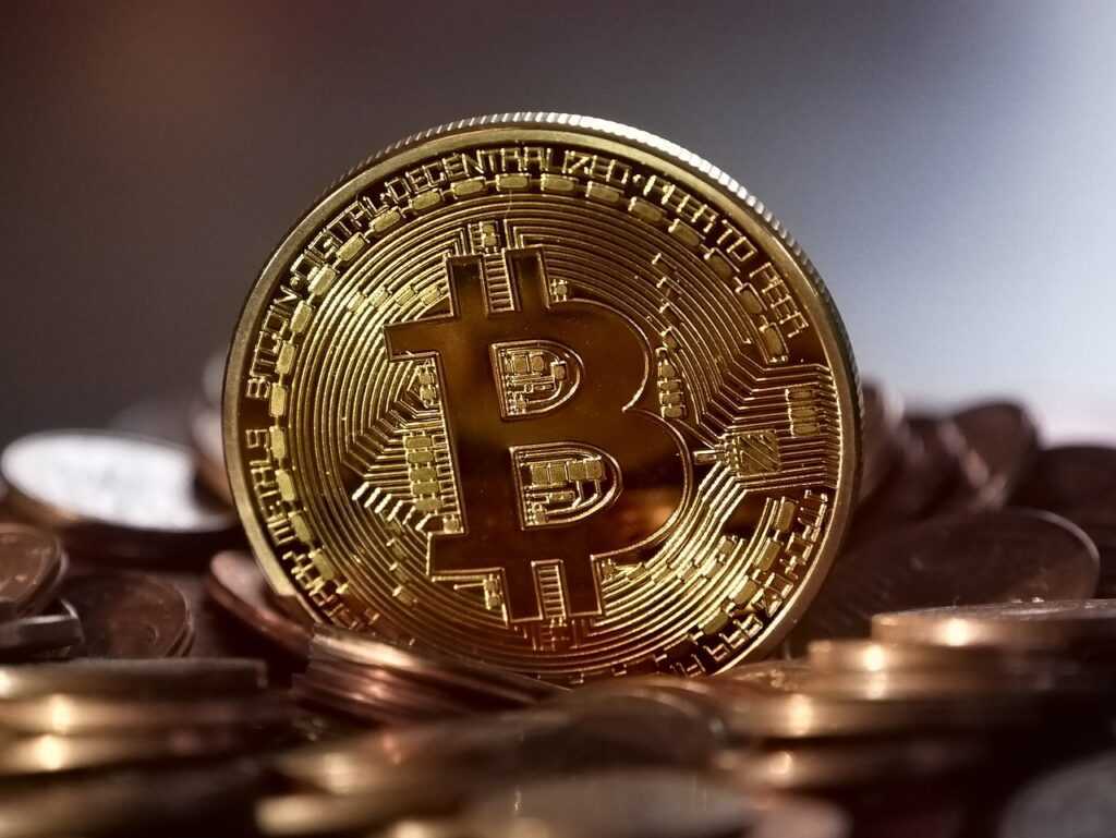 bitcoin, money, decentralized, virtual, coin, currency, cash, web, anonymous, international, digital, network, finance, internet, cryptography, cryptocurrency, blockchain, gold, btc, crypto-currency, brown money, brown network, brown finance, brown internet, brown digital, brown web, bitcoin, bitcoin, bitcoin, bitcoin, bitcoin, btc